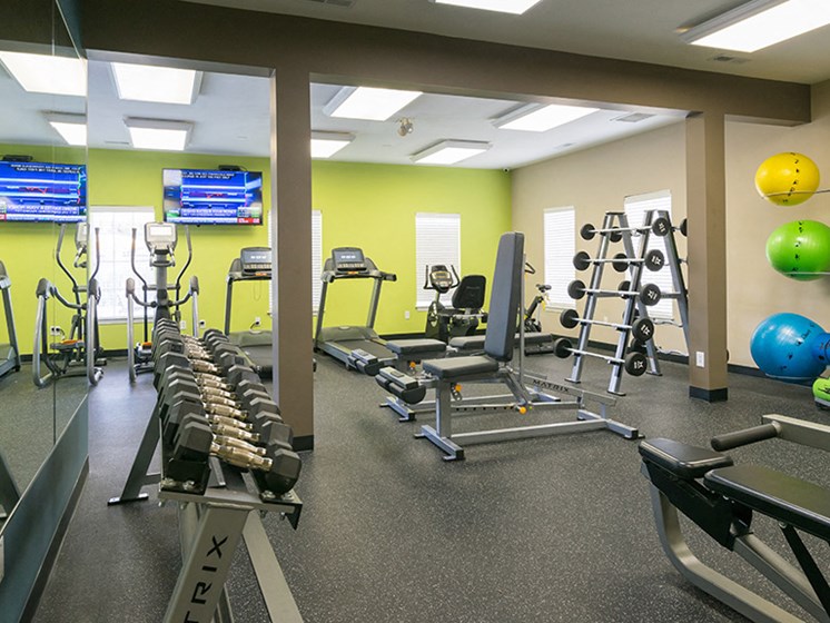Cardio Machines and Weighted Equipment